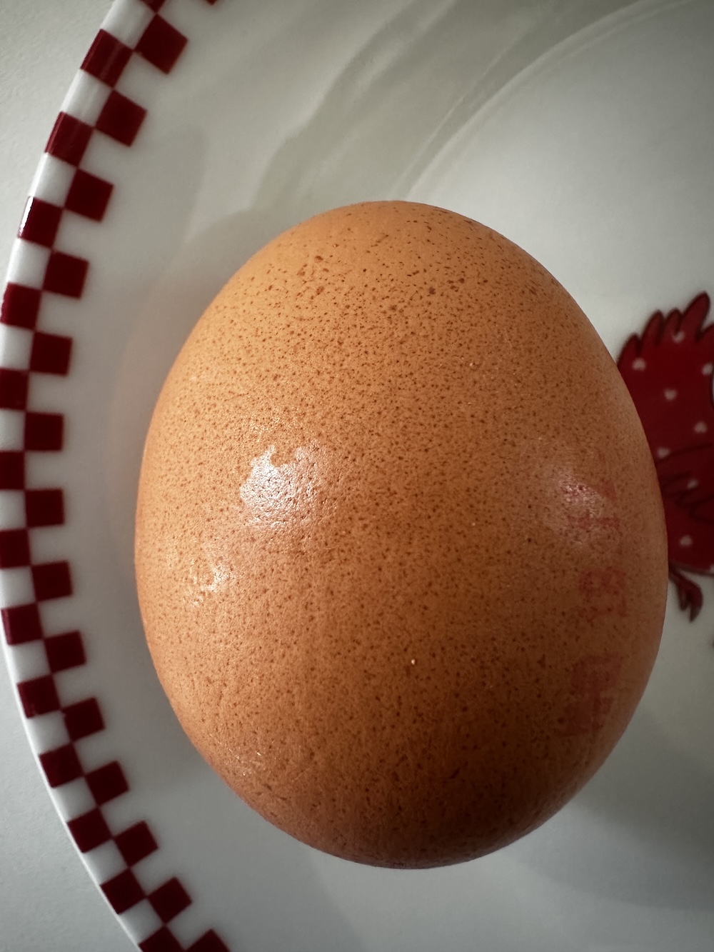Freshly cooked egg on a countertop